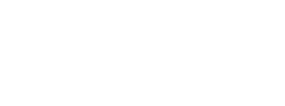 PLAY_Ventures_Logo_White-1